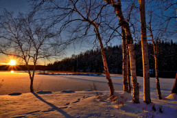 Seasonal Water Treatment Packs
