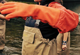 Arm Length Gloves