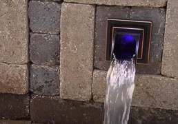 Spout