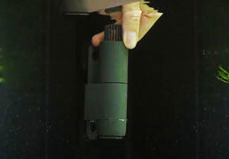Skimmers