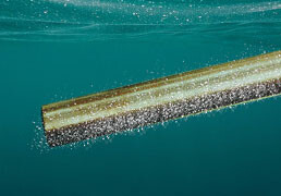 Anodes