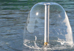 Bell