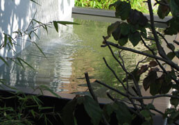 Ponds
