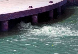 Circulation Pumps