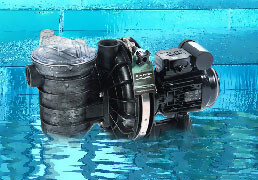 Pool Pumps