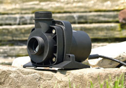 Dry Mount