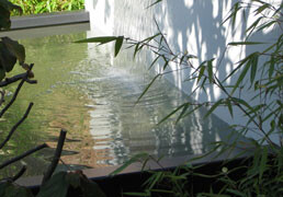 Ponds