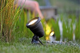 Garden Lights