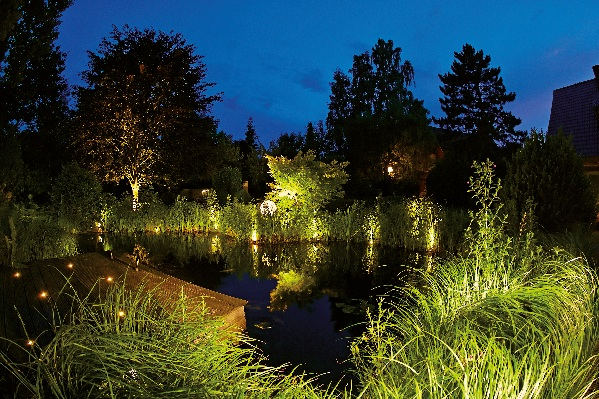 LED Pond Lights