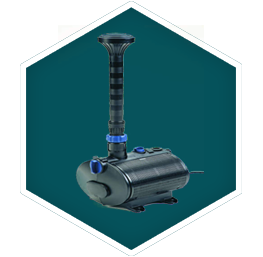 Solar Pumps
