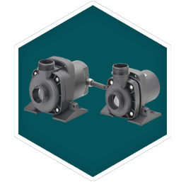 AquaMax Dry Pond Pump