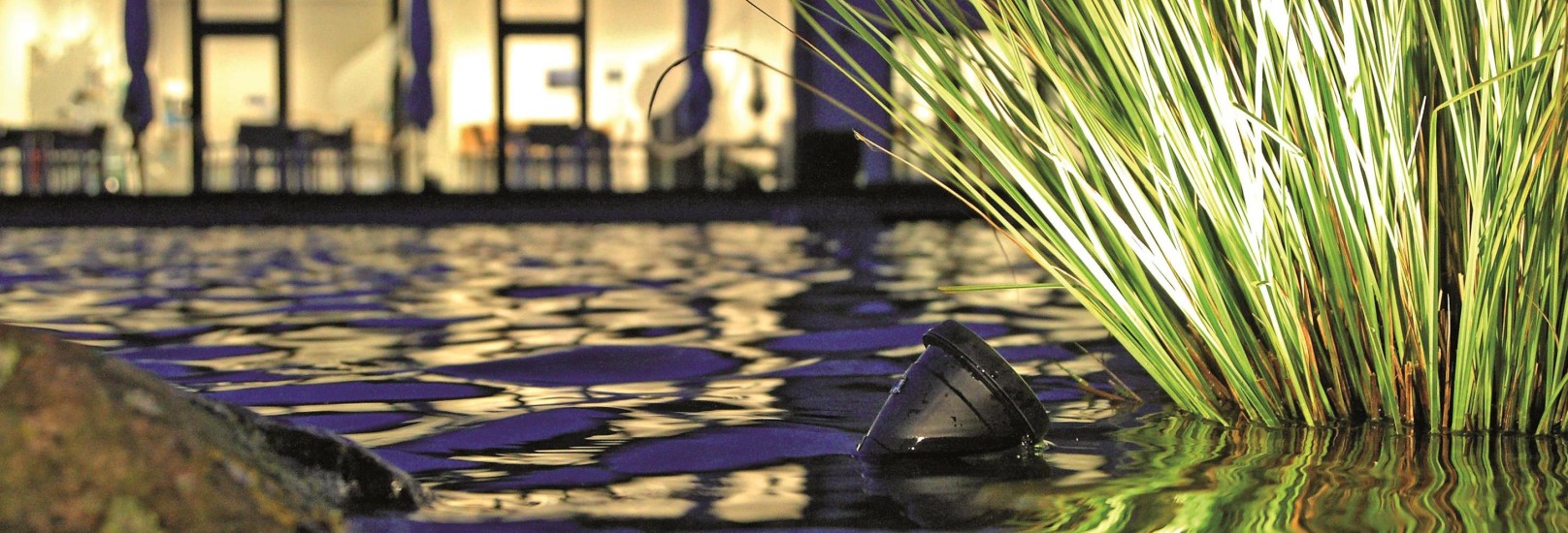 OASE LED Pond Spotlights