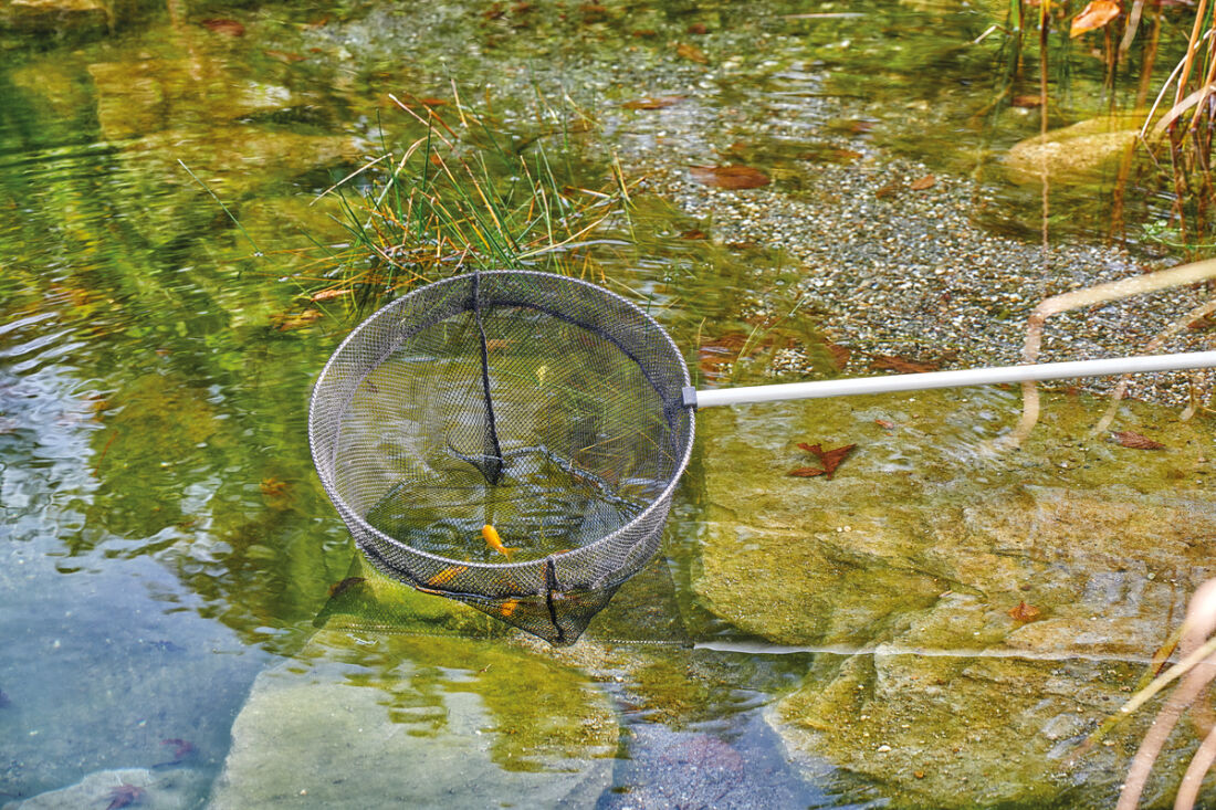 OASE Large Fish Net  Pond Maintenance Tools - Water Garden UK