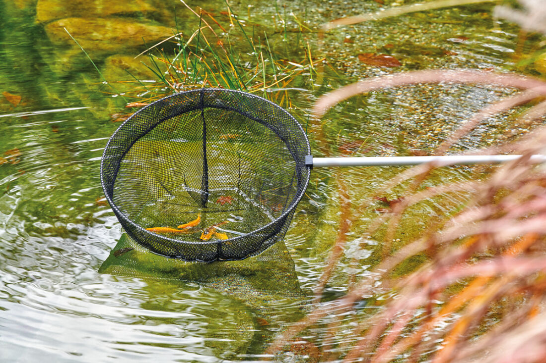 OASE Large Fish Net  Pond Maintenance Tools - Water Garden UK