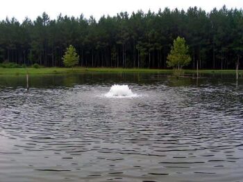 3/4 HP Floating Lake Aerator