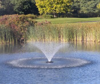 1/2HP Trumpet Floating Aerating Fountain