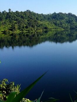 Lake Blue Dye - 1Kg Treats 10,000,000L