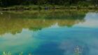 SGP Blue Pond Dye - Treats 50,000L