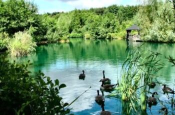 SGP Blue Pond Dye - Treats 50,000L
