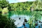 SGP Blue Pond Dye - Treats 100,000L