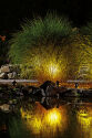 LunarLED Spotlight Set 2