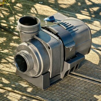 AquaMax Eco Dry 5000 Premium Pump