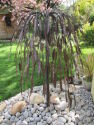Weeping Willow with Reservoir & Grid