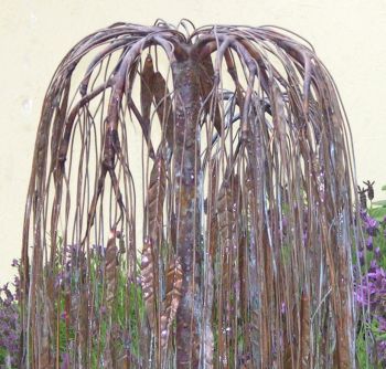 Weeping Willow in Copper Pond