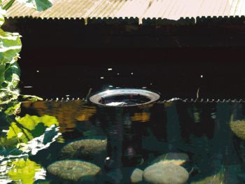 AquaSkim Gravity Pond Skimmer