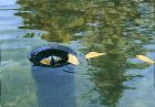 AquaSkim Gravity Pond Skimmer