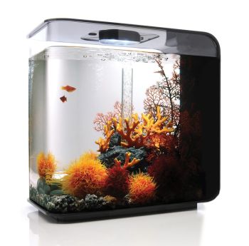 BiOrb FLOW 30 Black | biOrb Lifestyle Aquaria - Water Garden UK